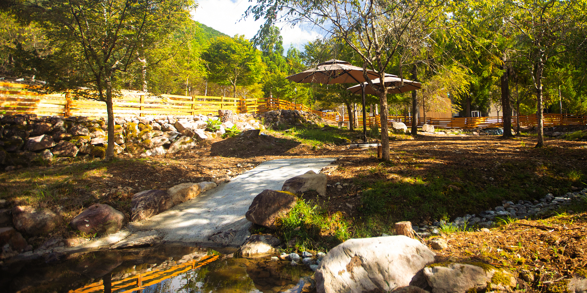 Wans（愛犬）の健康寿命をのばす、西日本最大級のドックラン施設